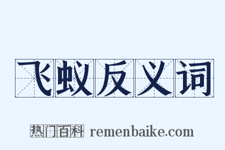 飞蚁反义词是什么意思的图片